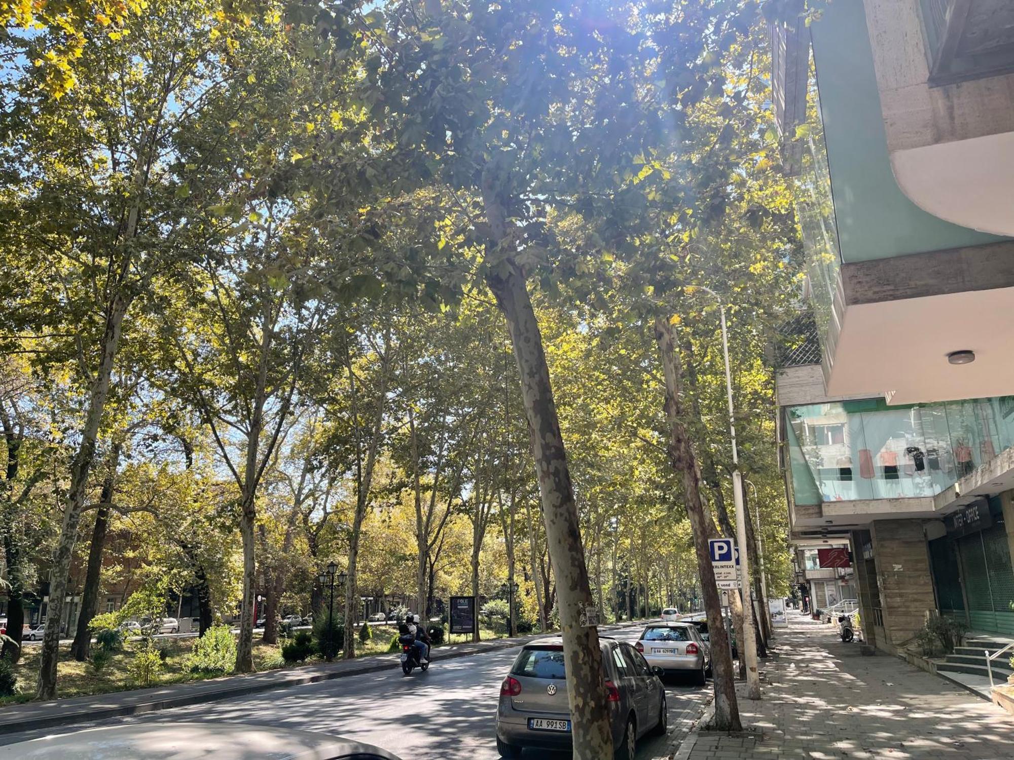 My Tirana2 아파트 외부 사진